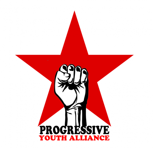 All the activists have been released: international solidarity campaign victorious!