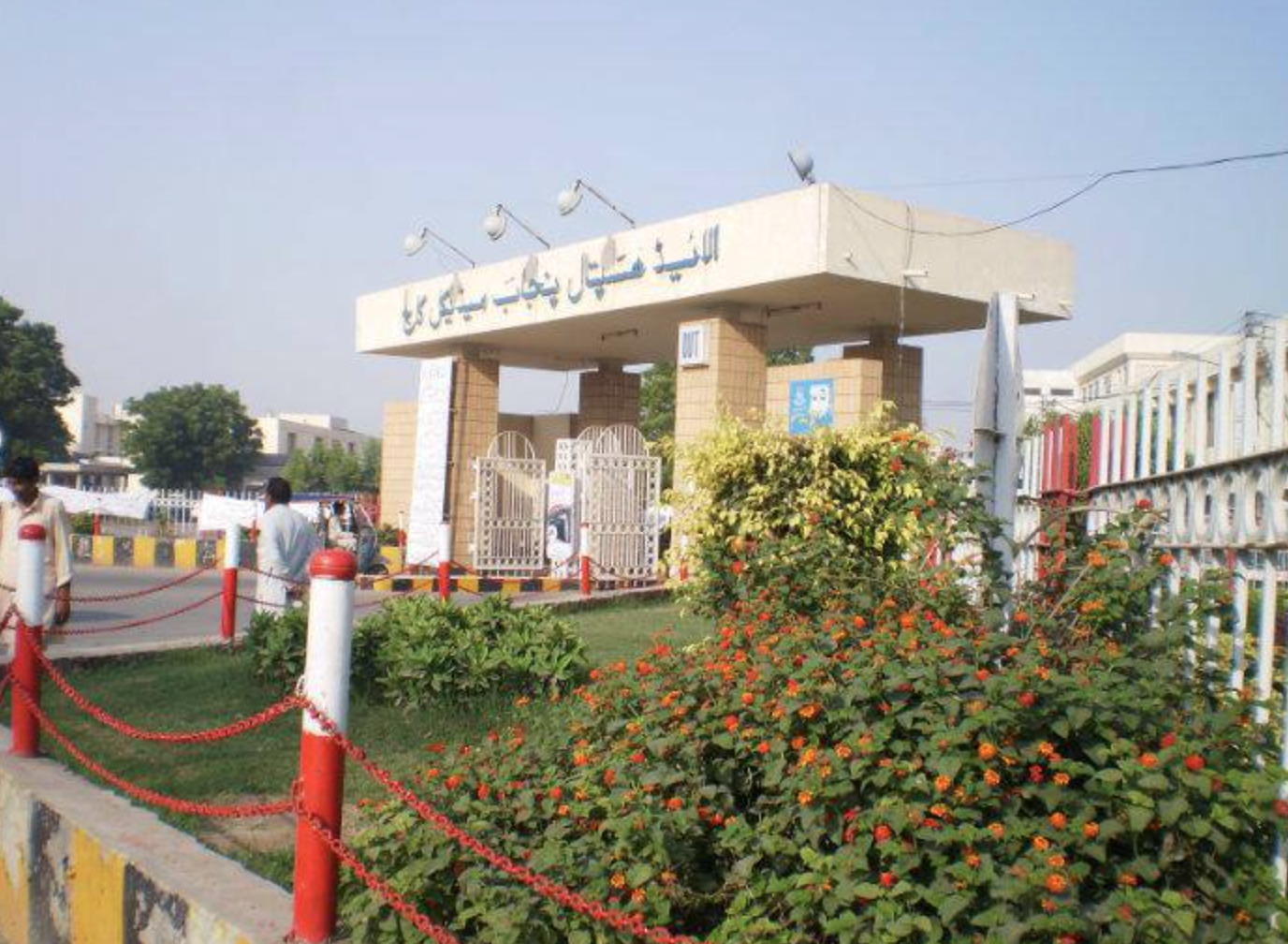 Faisalabad: Allied Hospital’s 220 Employees Terminated Without Payment of Three Months’ Salaries