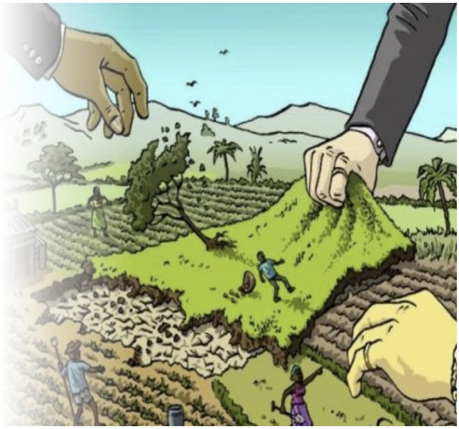 Bhakkar: The Crisis Facing Agriculture and the Plight of Farmers